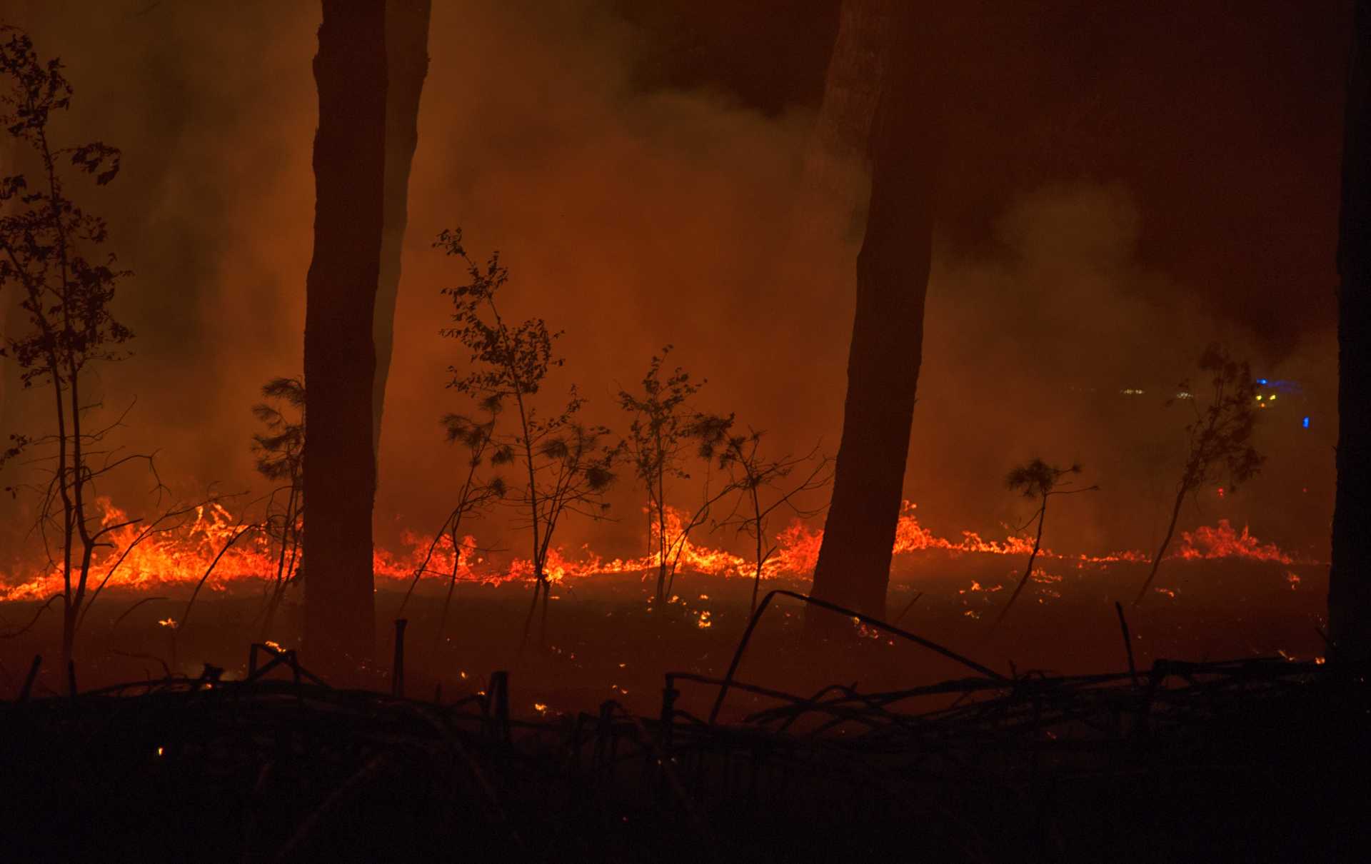 Incendio nella pineta delle Acque Rosse